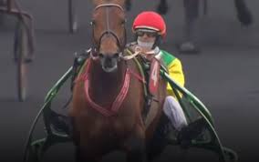 Davidson Du Pont Drive Par Jean Michel Bazire Gagnant Du Grand Prix De France 2020 A Vincennes Courses Hippiques Hippique Grand Prix