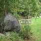 Naturalist-Guided Hike