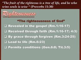 The fruit of the righteous is a tree of life; The Fruit Of The Righteous Is A Tree Of Life And He Who Wins Souls Is Wise Proverbs 11 30 I An Extreme Interpretation Righteousness Yields Life Ppt Download