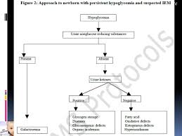 Approach To Inborn Errors Of Metabolism Dr Padmesh