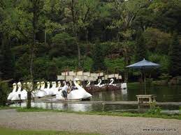 Temperatura média de 12°c, com mínimas chegando a 4°c e máximas em torno de 19°c. Gramado Em Agosto Eventos Data Local Atracoes