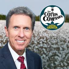 The Cotton Companion