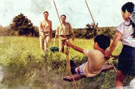 Decide instalarse en arkansas, tras abandonar california. The Specificity Of Minari The Ringer