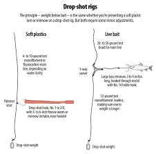 How To Rig A Drop Shot For Soft Plastics Or Live Bait Drop