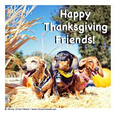 5 out of 5 stars. Happy Thanksgiving Friends Rufusontheweb