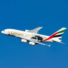 Only 3 Of Emirates Workforce Is Emirati Aircraft Aircraftengineering Digitalizer Plane Via Twitter Com Callmeyva Emirates Airline Emirates Cabin Crew Jobs
