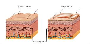 We did not find results for: Kulit Kering Bahan Alami Ini Solusinya