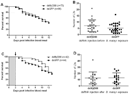 How come no other plants but plenty of cactuses can survive in the desert? Gene Knockdown Of Ae Aegypti Cactus Decreases Mosquito Survival But Download Scientific Diagram