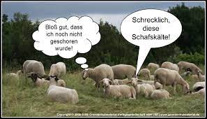 Wir erleben sie nicht in jedem jahr, doch wenn sie auftritt, dann zwischen dem 04. Die Schafskalte Wenn Der Sommer Noch Einmal Geht Medienwerkstatt Wissen C 2006 2021 Medienwerkstatt