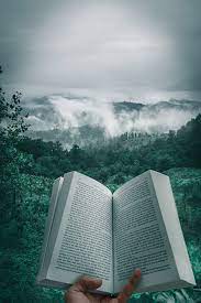 Free images, videos and music you can use anywhere. Book Pictures Hq Download Free Images On Unsplash