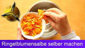 Ringelblumensalbe Selber Machen Herstellen Youtube