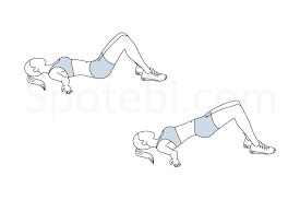 The following sections illustrate the primary muscles used during each movement of the rowing stroke. Glute Bridge Illustrated Exercise Guide
