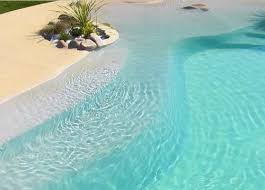 Pool That Looks Like A Beach In Your Back Yard Monica This Needs To Happen Lol Backyard Pool Dream Backyard