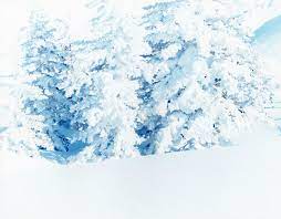 鈴木理策 risaku suzuki 写真 写真展
