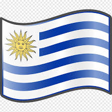 Shivam shivfps patel (born may 11, 1998) is a british player who is currently a streamer for luminosity gaming and player for soloqgoats. Flagge Von Uruguay Uruguay Fussball Nationalmannschaft Wikipedia Flagge Kobaltblau Elektrisches Blau Flagge Png Pngwing
