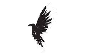 Black Bird Black Raven Black Bird Crow Raven