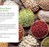 Wesort Beans Color Sorter–6SXZ-90 – colour sorting machine ...