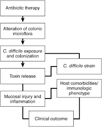 Maybe you would like to learn more about one of these? Treatment Of Clostridium Difficile Associated Disease Gastroenterology