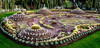 Cactus plants are spiny succulents that generally grow in hot, dry climates, such as the barrel cactus (echinocactus spp.), which grows in u.s. Outdoor Cactus Garden Idea Decoredo