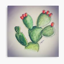 My blue landscape painting tutorial on youtube has been popular, so i decided to paint some pink and green. Cactus Canvas Prints Redbubble