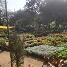 Olx jabalpur ho offers free online properties classifieds ads in jabalpur ho. Top 50 Plant Nurseries In Jabalpur Best Nursery Plant Suppliers Justdial