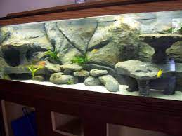 Zoom In Real Dimensions 1024 X 768 Aquarium Backgrounds Aquascape Aquarium Turtle Background