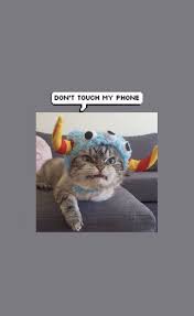 don t touch my phone iphone wallpaper girly wallpaper iphone cute art wallpaper iphone