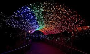 Festival Of Lights Cincinnati Zoo