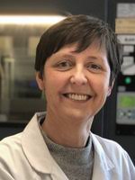 Lieve Naesens — Laboratory of Lieve Naesens