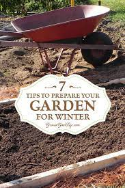 7 Tips To Prepare Your Vegetable Garden For Winter Fall Garden Vegetables Vegetable Garden Beds Winter Vegetables Gardening
