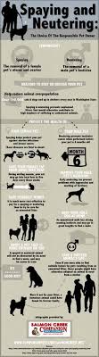Spaying and neutering is the only way to reduce or eliminate that. 20 Spay Neuter Infographics Ideas Neuter Spay Infographic