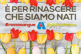 Voglio augurare a tutti voi e alle vostre famiglie una pasqua il più possibile serena, nella consapevolezza che ci saremo sempre, come soggetto collettivo, per la difesa di ognuno di noi. Buona Pasqua Avis Regionale Marche