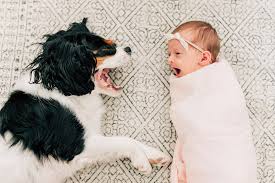 Nyman Lifestyle Newborn Session Logan