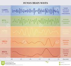 Human Brain Waves Diagram Chart Illustration Stock