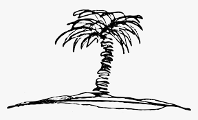 You can find more palm tree clip arts black and white in our search box. Palm Tree Clipart Black And White White Palm Trees Transparent Hd Png Download Kindpng