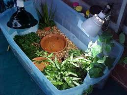 This guide teaches you how to set up a turtle tank and care for this guide will take you through every step of setting up a turtle tank, from selecting the tank to. The Ultimate Guide On How To Build An Indoor And Outdoor Box Turtle Habitat Box Turtle Site