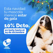 Clínica Veterinaria Visión De Colombia (sede Marsella)