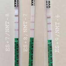 Packung beginnen, um die tests fortzusetzen.) (siehe frage 9). Ovulationstest An Es 7 Positiv Erster Kinderwunsch