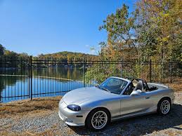 Image result for Silver Grey 1995 AAV