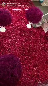 Kylie jenner's doing her patriotic duty at the request of the surgeon general, by telling her millions of fans to stay home. O Xrhsths The Instigator Sto Twitter Travis Scott Once Sent Kylie Jenner 443 Flowers Because Their Daughter Was Born At 4 43pm Travis Scott Once Covered Kylie S House In Roses They Still Broke