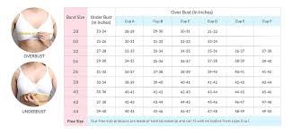 Knowing your right bra size can be life changing. Bra Size Chart India Explore The List Of Bra Sizes Clovia