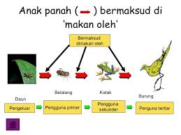 Check spelling or type a new query. Panitia Biologi Kimia Ppd Tanah Merah Rantai Makanan Gambar