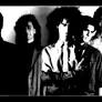 friccion banda de www.last.fm