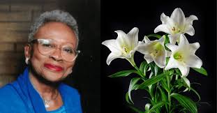 local obituary Archives