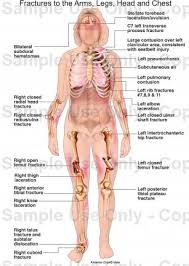 Parts, functions and diagram of female reproductive system. Womens Chest Anatomy Anatomy Drawing Diagram