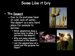 Unlike most mammals, a healthy camel's body temperature fluctuates. Unit 10 Plant And Animal Adaptations Goal I