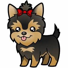 Front view of cute yorkshire terrier puppy in his bed. Yorkie Puppy Coloring Pages