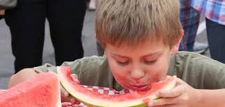 Things to Do in Christopher Creek