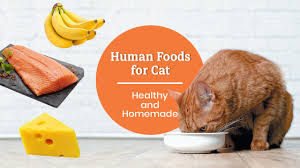 See more ideas about human food for cats, human food, cats. 15 Human Food For Cats Healthy And Homemade