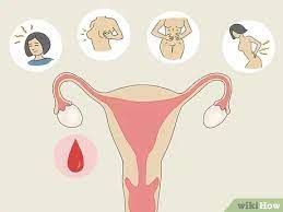 4 Ways To Get Pregnant - Wikihow